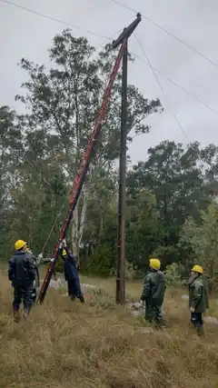Corte de energía por la caída de un árbol talado
