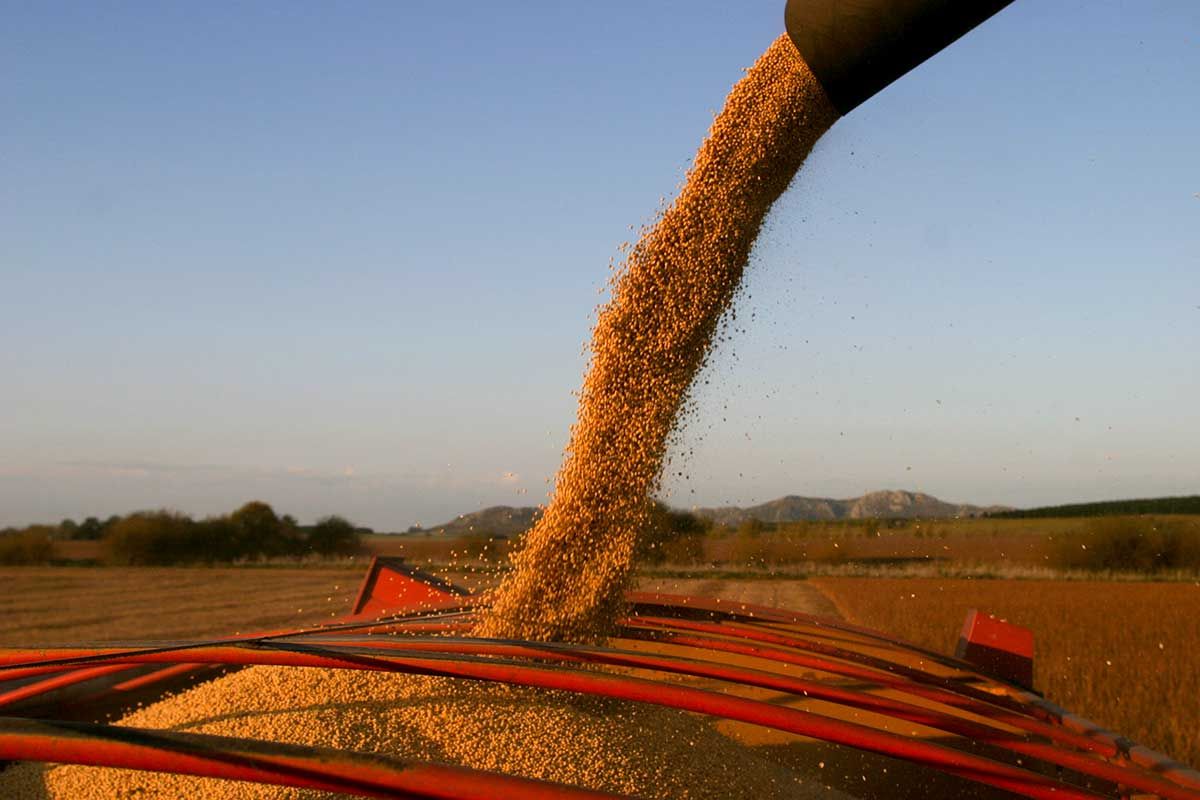 Una noticia falsa sobre retenciones corrió como reguero de pólvora en el sector agropecuario