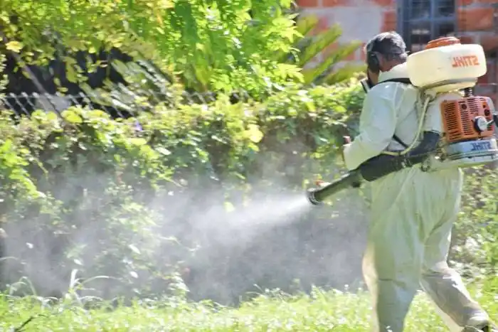 Hay 225 casos de dengue en Entre Ríos e intensifican las fumigaciones