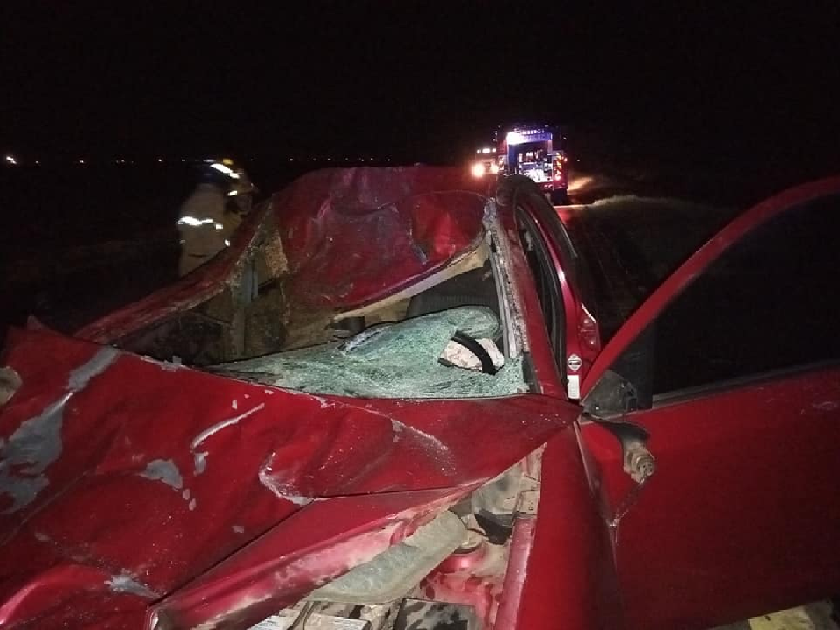 Chocó con un caballo en  la ruta y resultó ileso 