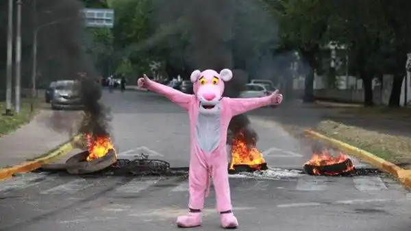 En La Plata, un piquete fue protagonizado por la Pantera Rosa