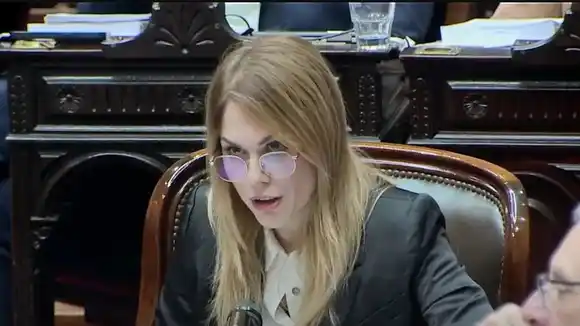 "Nadie habla que la casa donde asesinaron a las tres chicas pertenece a la mano derecha de Baradel", denunció Lemoine