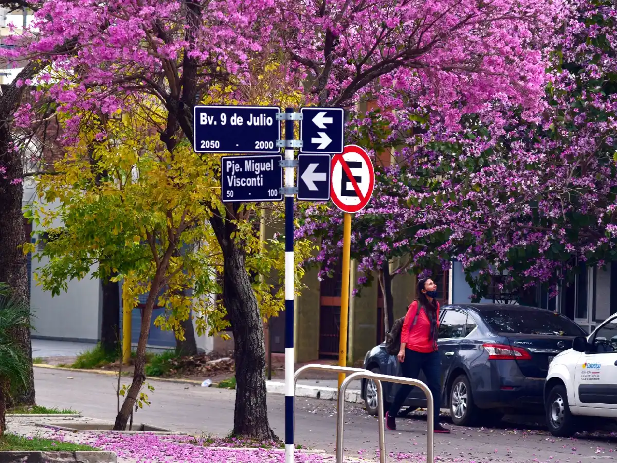 Sigue el alerta por tormentas 