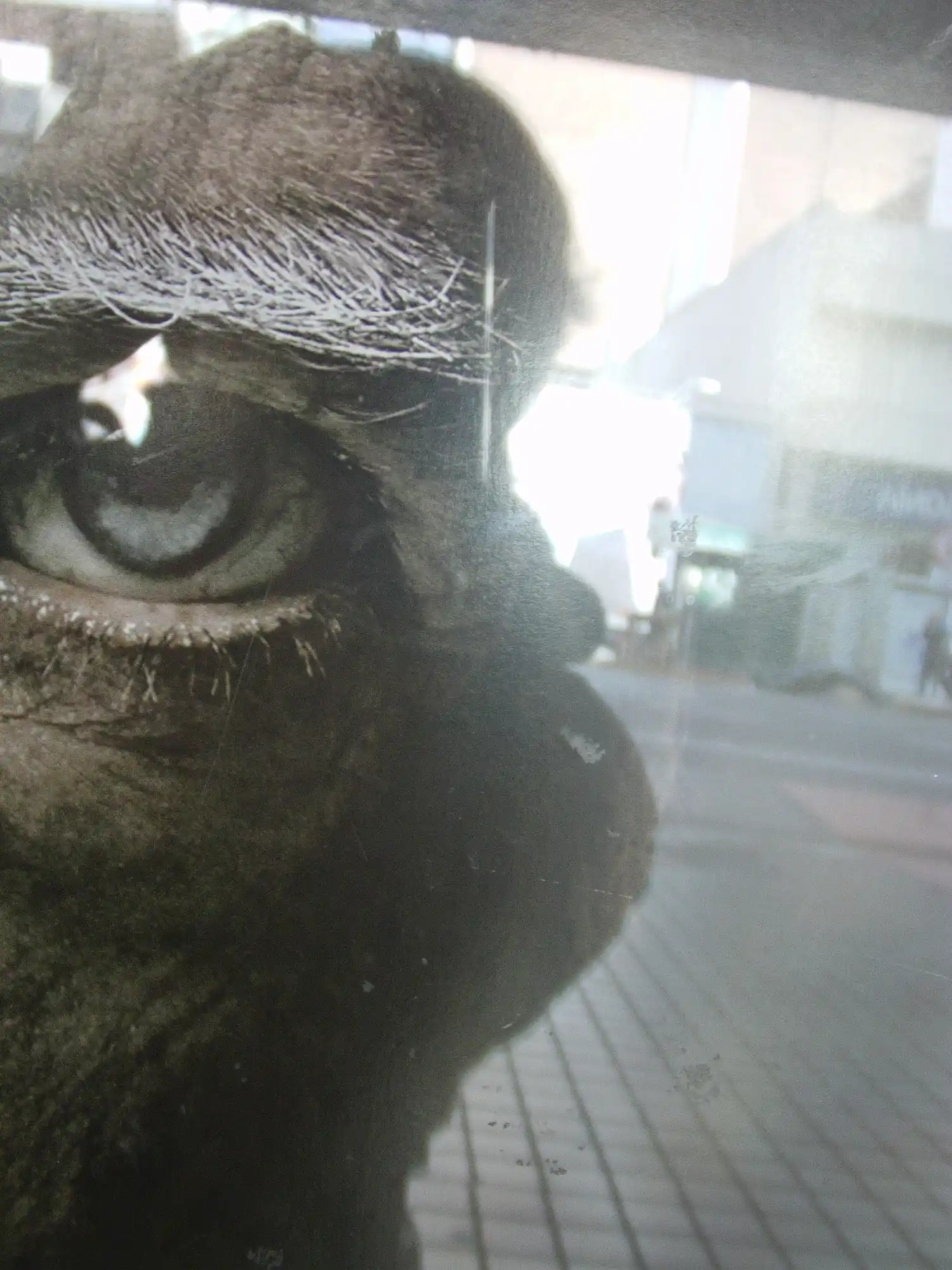 Aquel desopilante diálogo con un filósofo de cabotaje