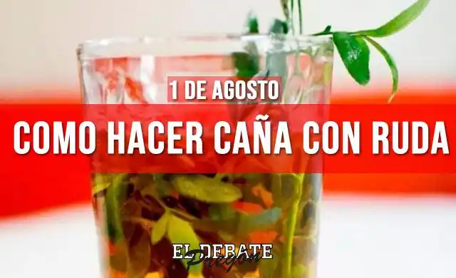 Caña con ruda macho: Cómo se hace y por qué se toma el 1° de agosto