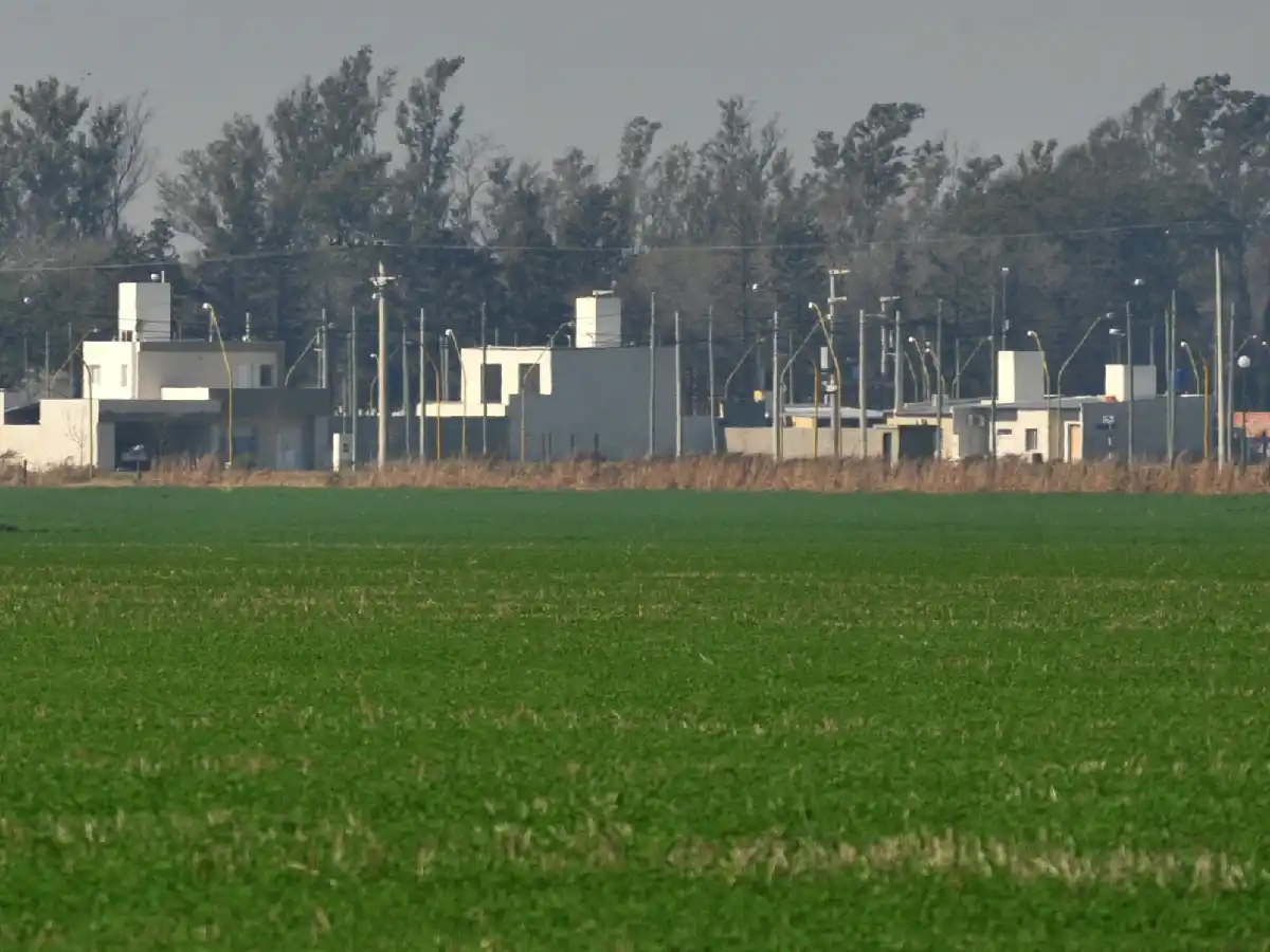 Sastre limita las fumigaciones agrícolas en cercanías de la urbanización