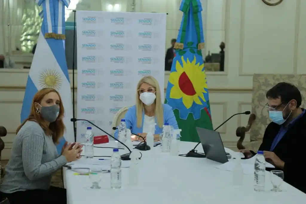 Magario y la Ministra Ruiz Malec presentaron la agenda del Plan 2021 contra el trabajo infantil