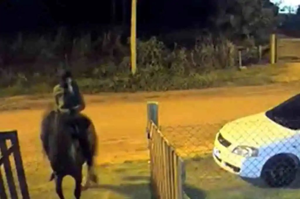 Rosario salvaje: un sujeto a caballo baleó una vivienda y atropello a una persona en su huida