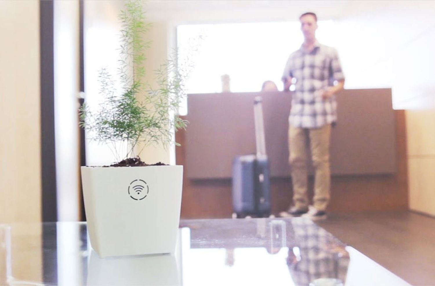 BIOO PASS, la maceta que facilita el acceso a WIFI