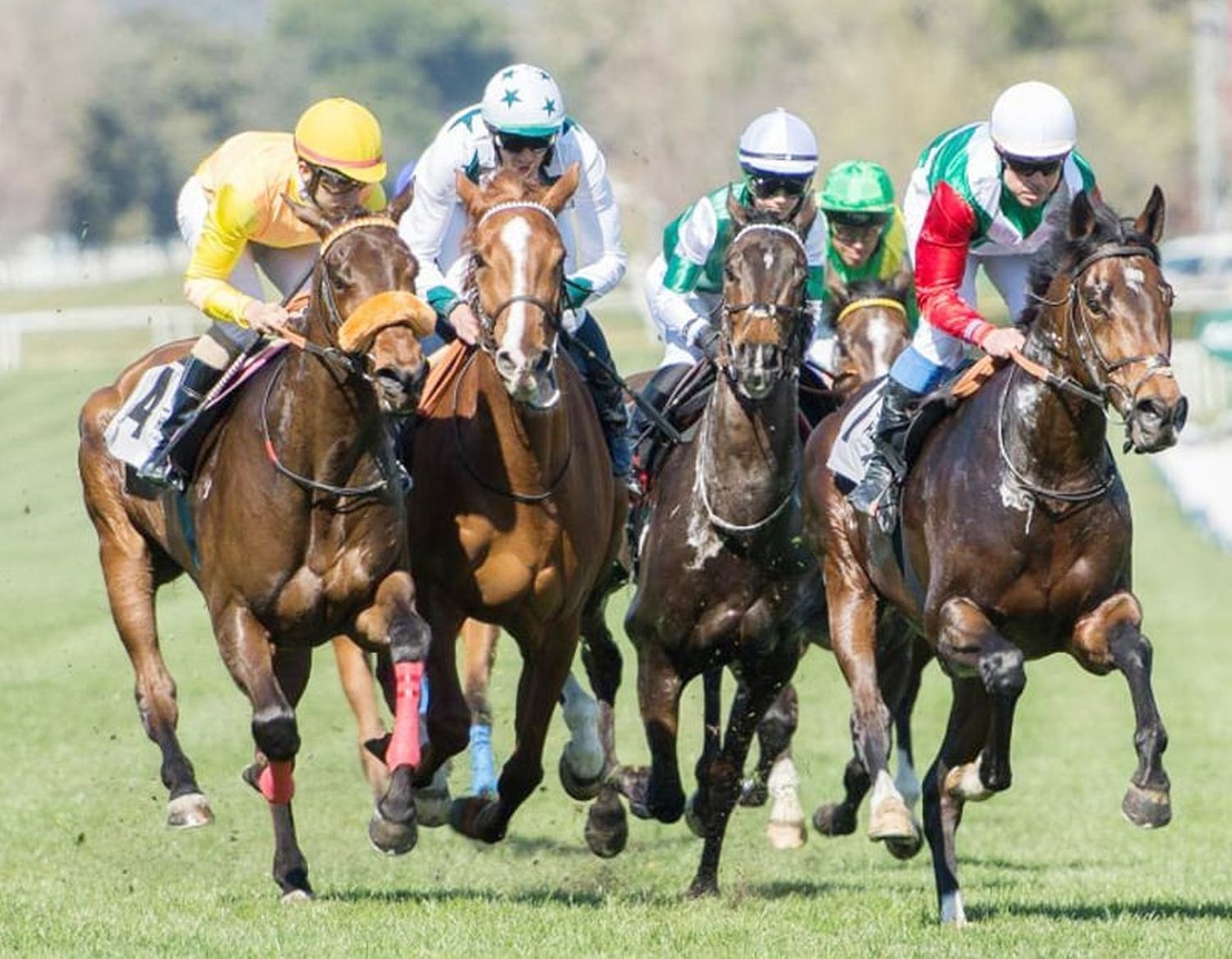 Miércoles 21: Actividad Hipódromo de San Isidro