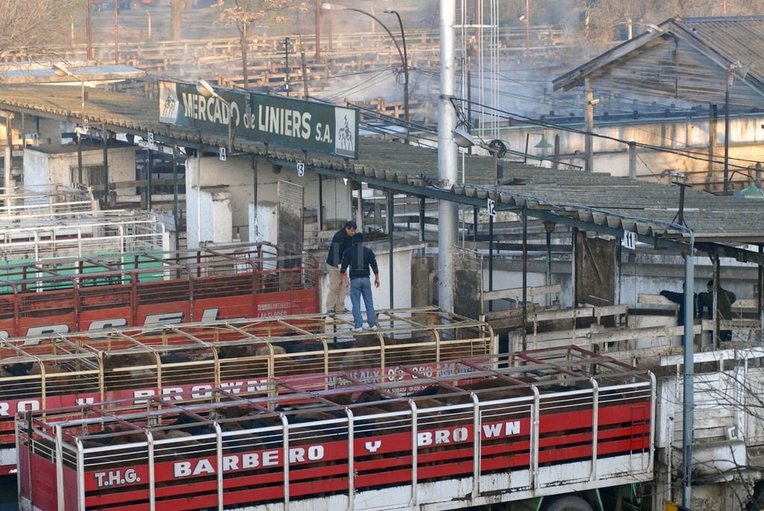 Alerta ganadera: piden no enviar hacienda a Liniers por un conflicto gremial