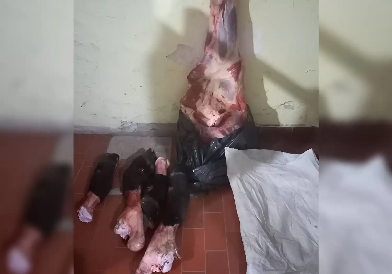 La carne recuperada en un domicilio de calle Laprida.