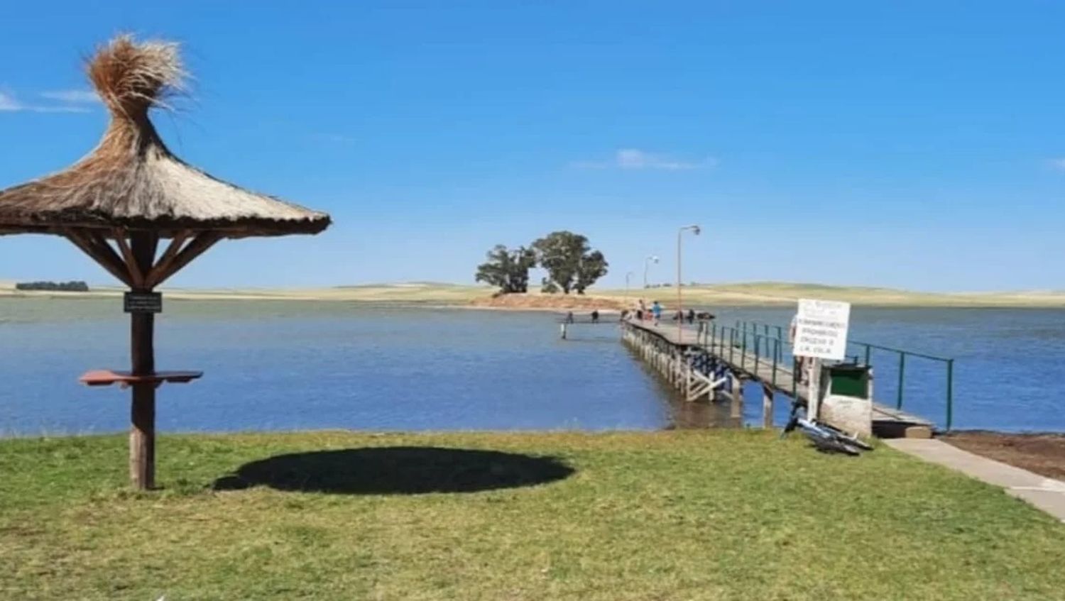 Tragedia en Saavedra: Joven de 18 años se arrojó a una laguna y falleció