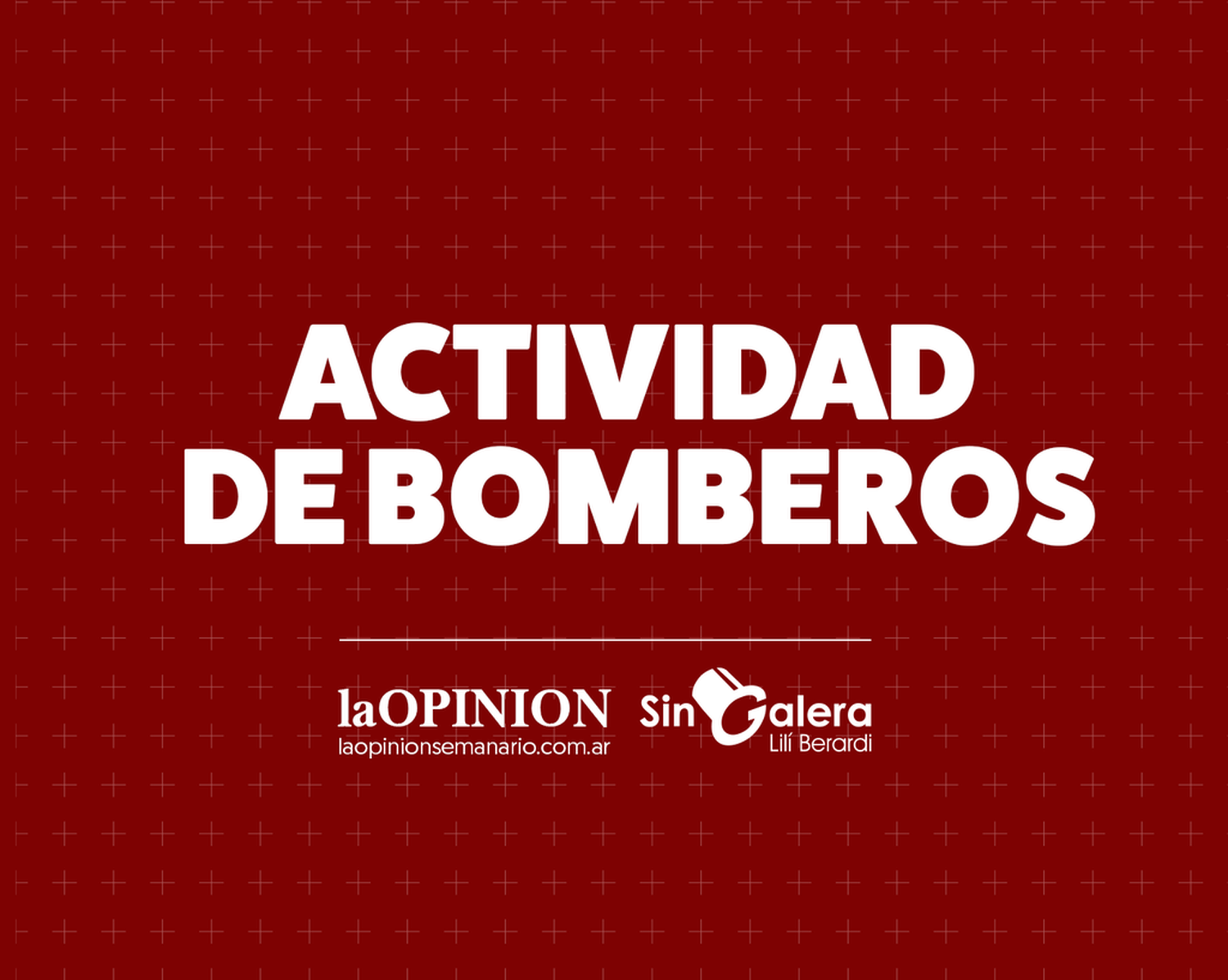 Salida de bomberos por incendio de pastizales en el camino Lucio Mansilla