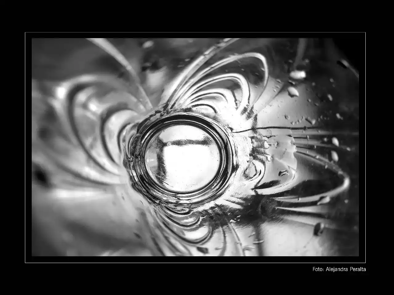 Alejandra Peralta fotografía