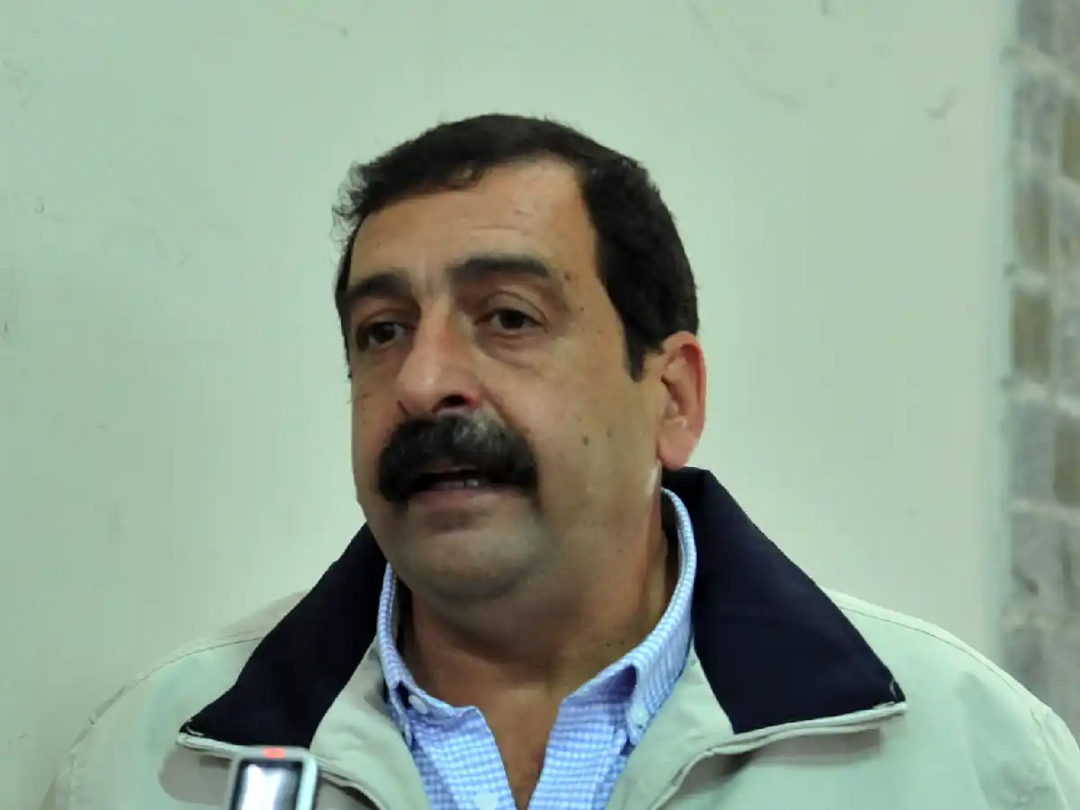 Tomar una decisión analítica, el desafío para un manejo eficiente de malezas