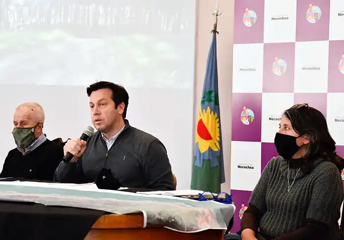 Anunciaron un plan para forestar el parque Lillo