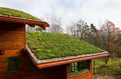 Estudiantes diseñarán y construirán un techo verde en la Escuela Técnica Nº 3