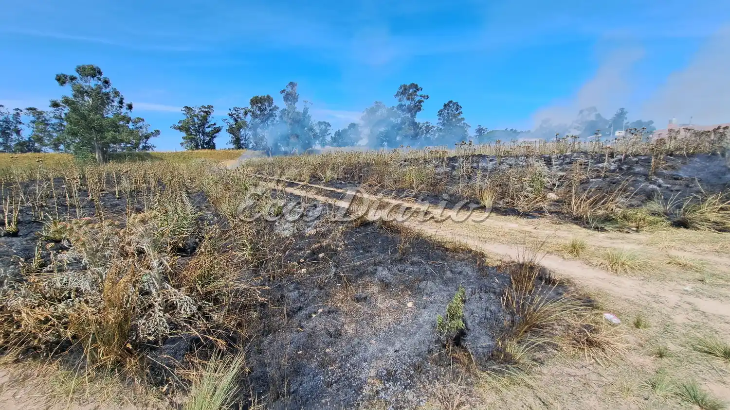 incendio pastos