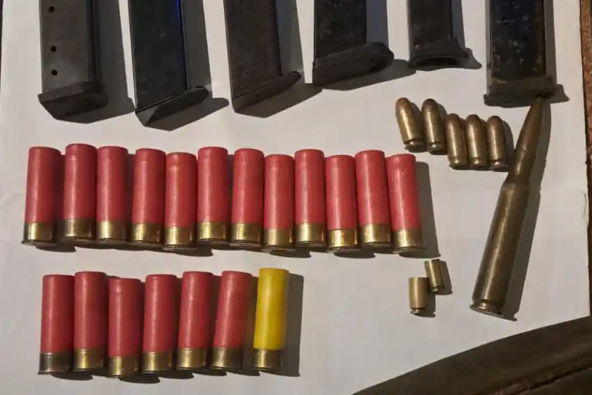 Tiros al aire en zona sur: un sospechoso huyó de la Policía y descartó municiones