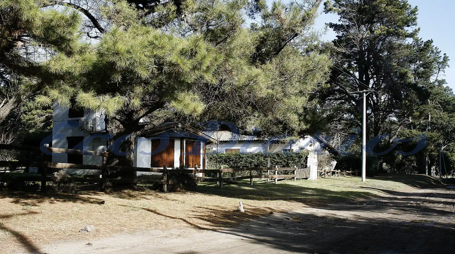 Delincuentes tienen en alerta a vecinos de la Villa del Deportista