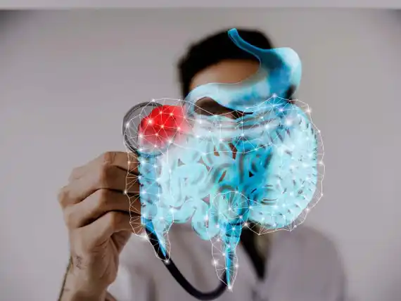 Microbiota y salud digestiva