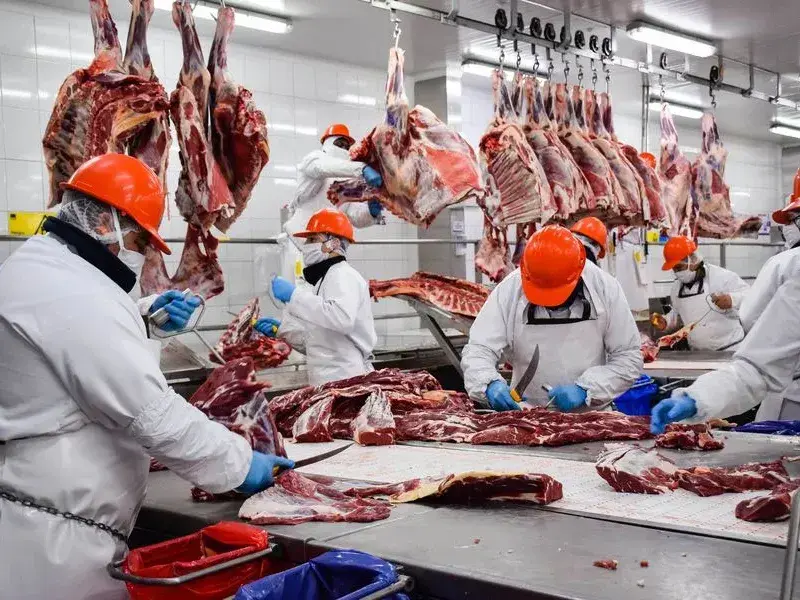 La carne vacuna generó US$2.768 millones de dólares en los primeros siete meses del año