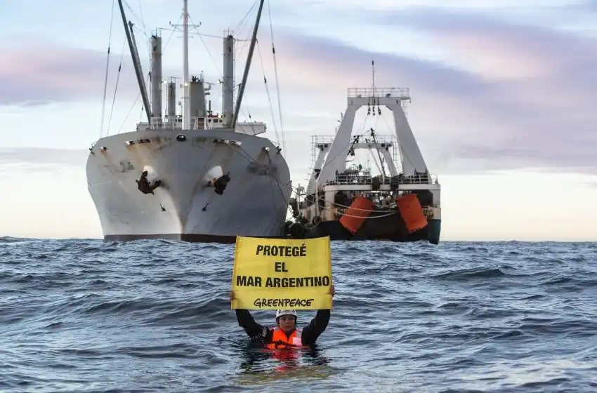 Barcos frigoríficos en altamar: activistas de Greenpeace denunciaron transbordos