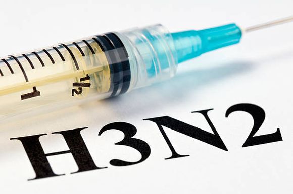 Influenza H3N2: “Se reportaron 800 casos en Argentina, algunos en San Pedro”