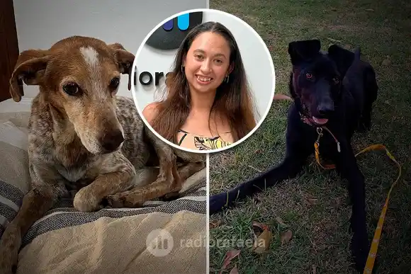 Conocé Mascobank, el espacio rafaelino para ayudar a diferentes animales rescatados