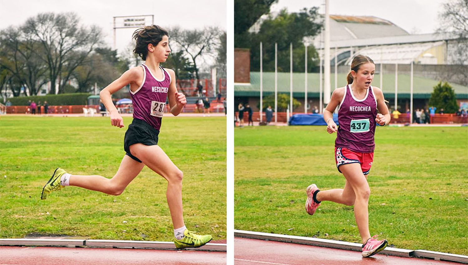 El domingo se disputa el Grand Prix Sudamericano en Mar del Plata