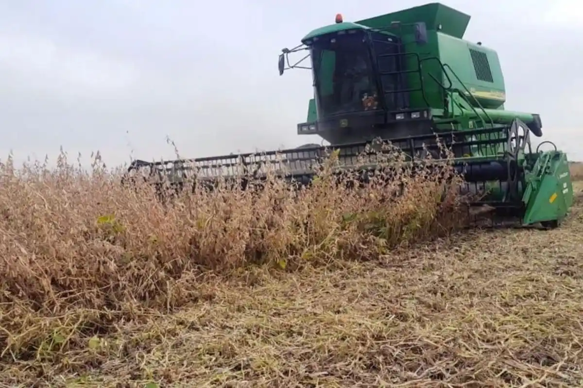 El informe trimestral de Fada mide qué porcentaje de la renta agrícola se destina al pago de impuestos nacionales, provinciales y municipales.