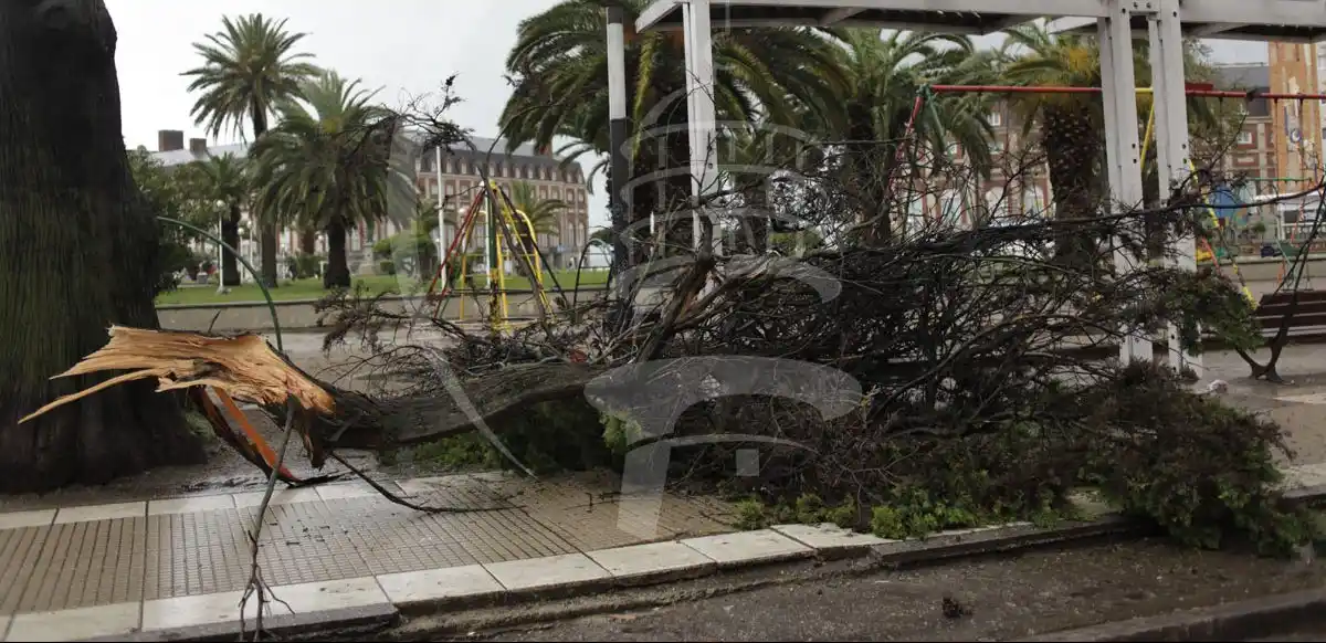 Temporal: no quedan evacuados