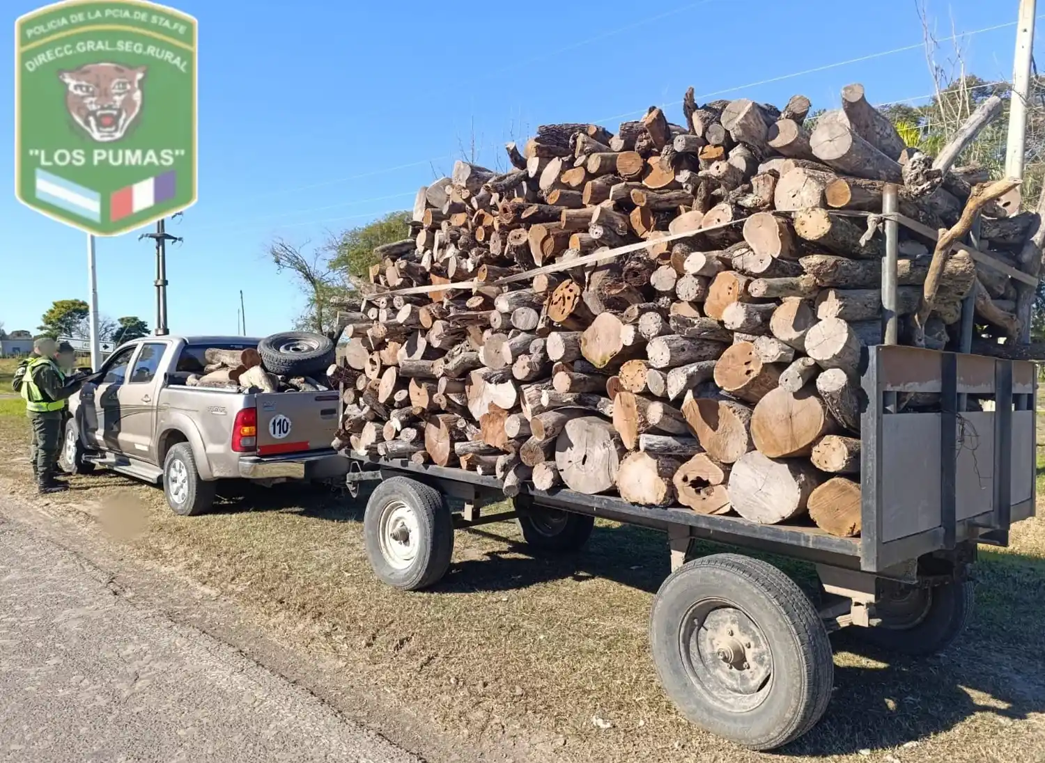 ¿No será mucho para la salamandra? Transportaba 4 mil kilos de leña sin documentación