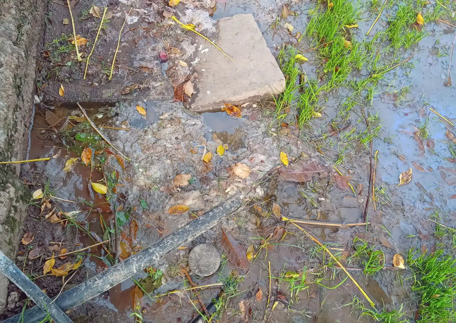 Cloacas tapadas en calle Brenan: no podemos ni ir al baño