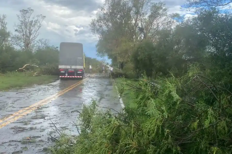 La tormenta también causó graves daños en diferentes localidades del departamento San Justo