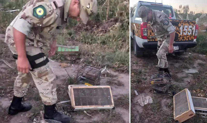 Brigadistas de la Dirección de Delitos Rurales frustran caza ilegal de aves