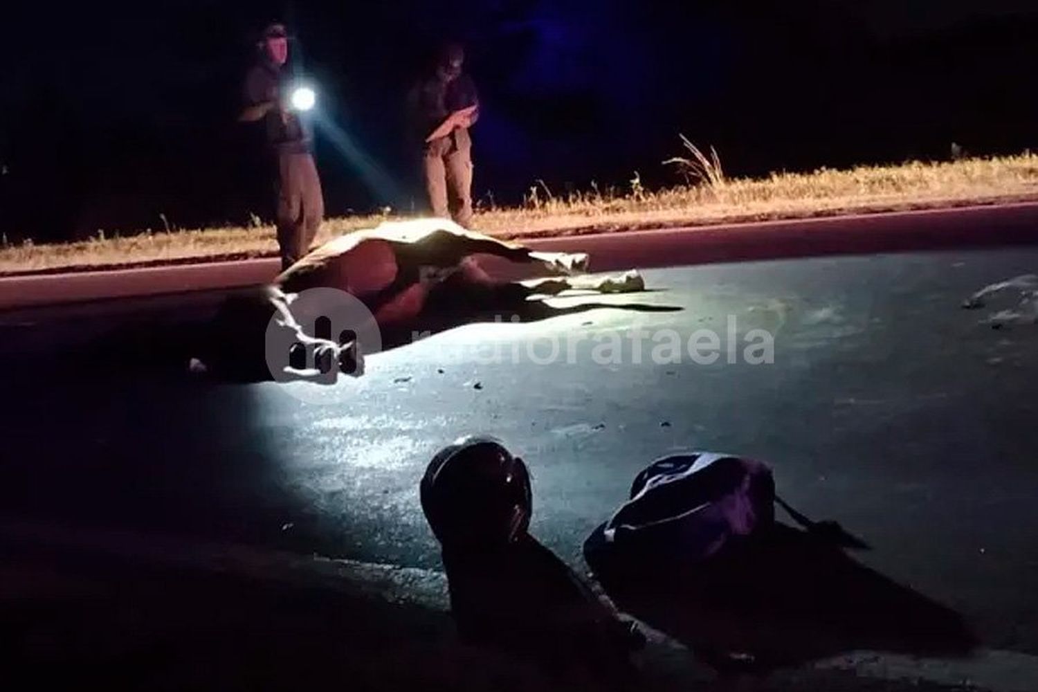 Tragedia en el Norte santafesino: un motociclista falleció tras chocar contra un caballo suelto