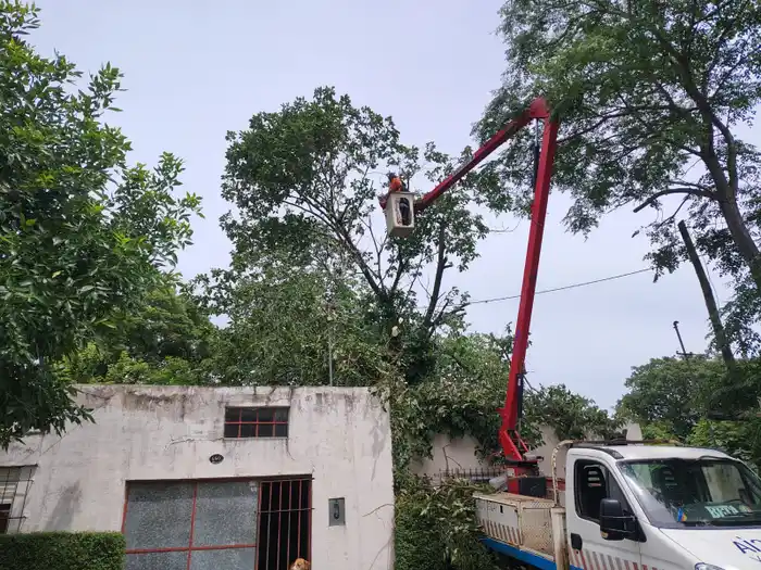 Altinier detalló el trabajo realizado antes, durante y después de la tormenta.
