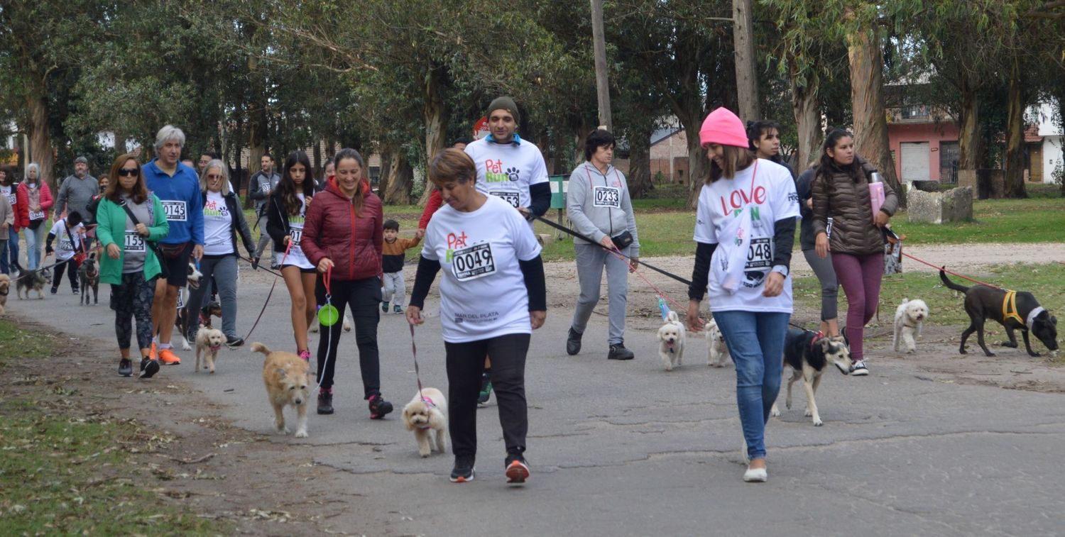 Fiesta completa con las mascotas en el centro de la escena