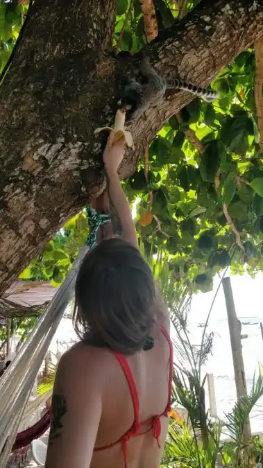 La gualeguaychuense tenía pensado seguir recorriendo Brasil, pero la pandemia le cambió drásticamente sus planes.