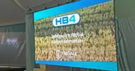Bioceres presentó evento que cambia la historia de un cultivo: el TRIGO HB4
