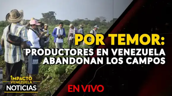 POR TEMOR: productores en Venezuela abandonan los campos – VIDEO