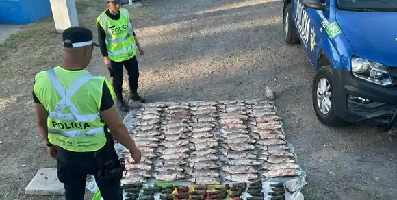 Decomisan 80 kilos de pescado en operativo vial en Avellaneda