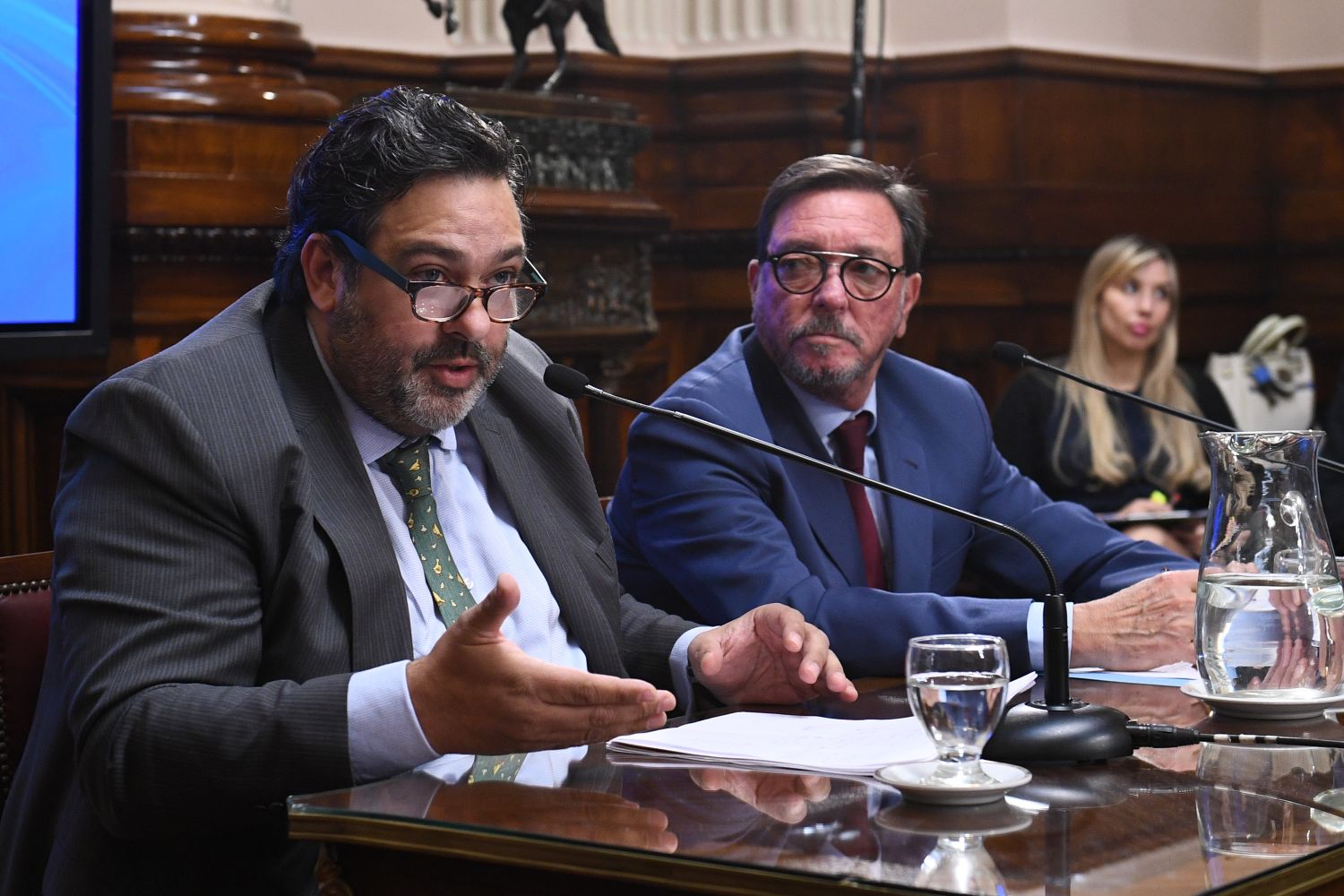 Continua el tratamiento del Nuevo Código Penal en el Senado