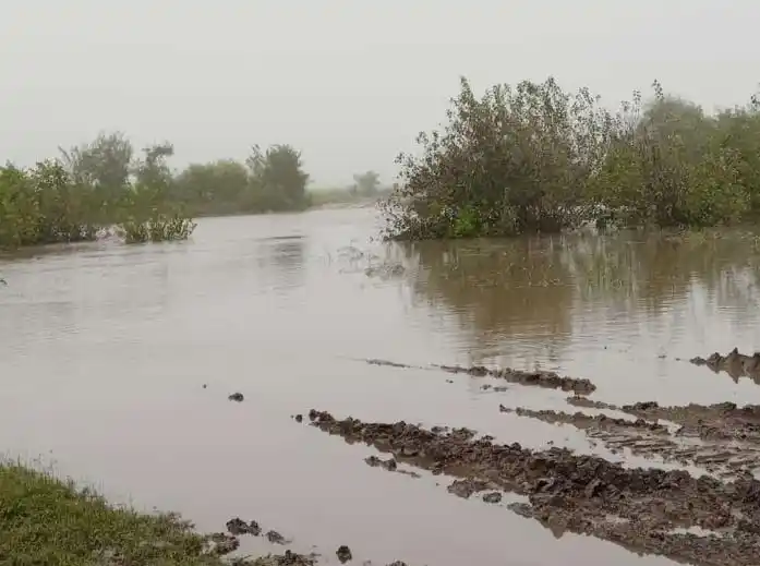 Intransitables caminos de la producción en el departamento Nogoyá