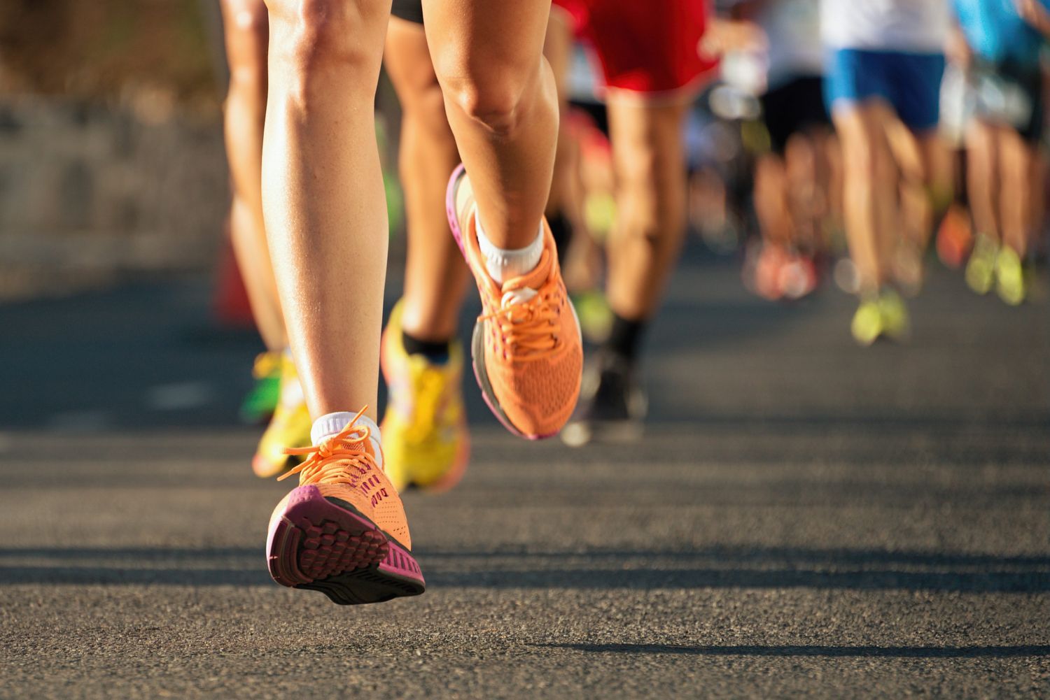 Se realiza la maratón en beneficio del Arca de Noé
