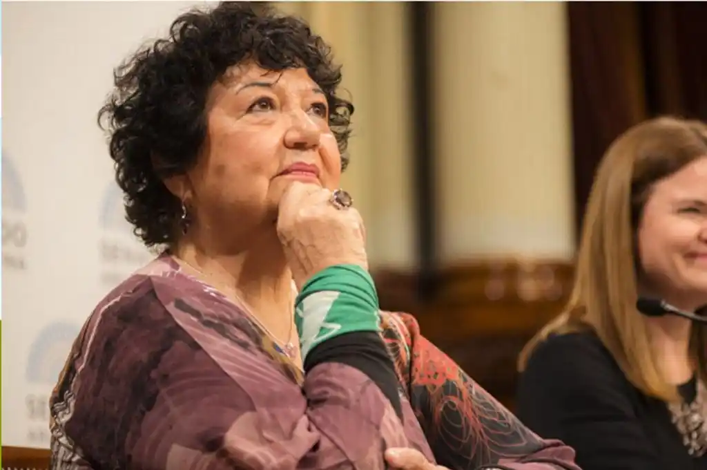 La Universidad de La Plata distinguirá a la socióloga Dora Barrancos