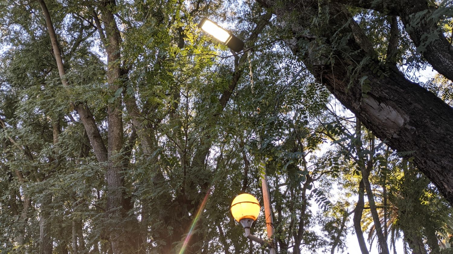 Luces encendidas en pleno día consumen energía eléctrica.