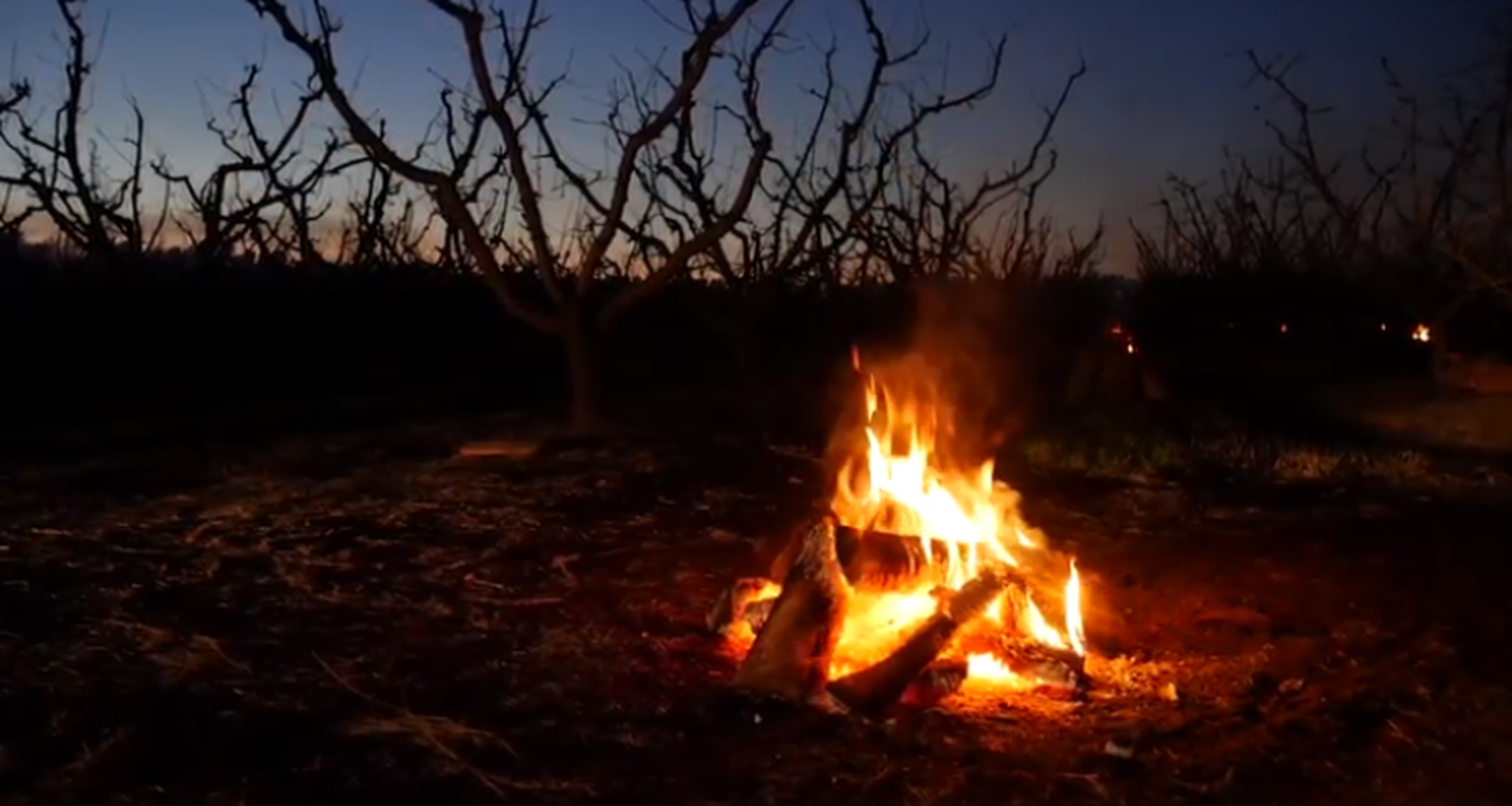 Terminó el control de heladas de Inta: Hubo cinco noches con temperaturas bajo cero y la mínima llegó a -5.2 °C